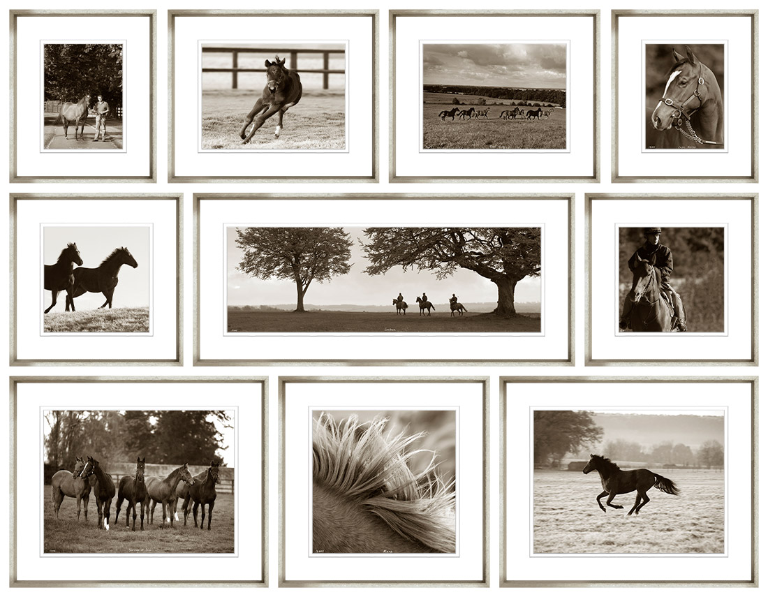 Templeton Stud Collection